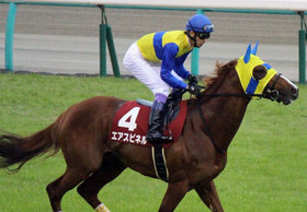 武豊→ルメールにエアスピネル「チェンジ」 秋を見据えた乗り替わりに賛同の声は......