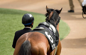 ロードカナロア×トゥザヴィクトリー「トゥザフロンティア」が今週デビュー！ 一族の「悲願」を託されたその素質は？