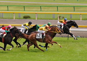 数分で千円が166万円に大化け！高額配当連発の夏競馬、超貴重情報を無料提供！