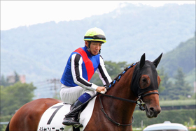 マカヒキが内田博幸騎手「超ハイレベル」毎日王冠→天皇賞へ！ 停滞状況打破は可能か否か