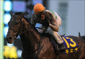 JRA上半期のクライマックス・宝塚記念は波乱必至！絶対にチェックすべき