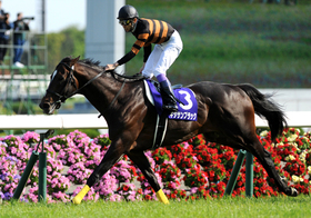 “平成最後のG1”天皇賞、武豊不在で大波乱？関西馬が上位独占か…無料＆至高の勝負情報