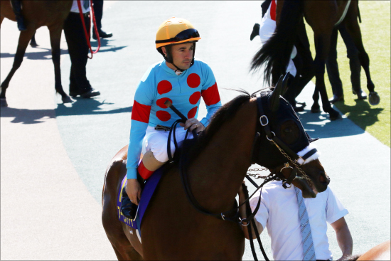 最強アーモンドアイ Jra牝馬三冠 波瑠表彰時点で結果は決まっていた 超一流古馬ひしめく大舞台に王手 Gj