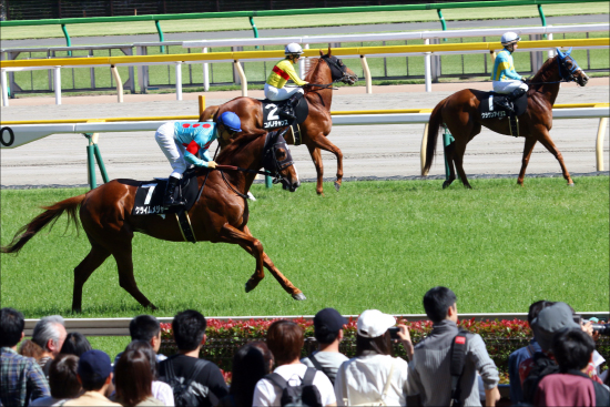 JRA牡馬クラシック「遅れてきた超大物」登場!?「シルク×オルフェーヴル」の大器が東京最速の末脚でデビュー戦を圧勝！の画像2