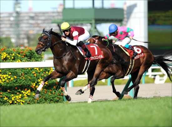 Jraの奇抜戦略 隠し玉候補に 元smapの3人 秋競馬 緒戦でいきなり10万馬券か Gj