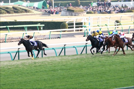 武豊「キタサンブラック2代目」可能性は!? 「逃げ先行」メイショウテッコンの素質の画像2