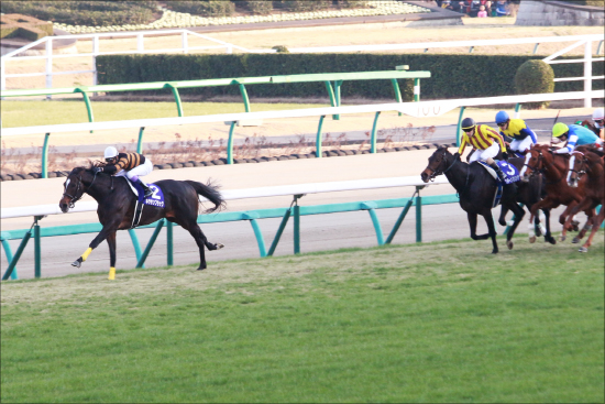 武豊「交流G1完全制覇」へ威圧逃げ!? 誰も競り掛けない暗黙の了解「キタサンブラック伝説」再び？の画像2