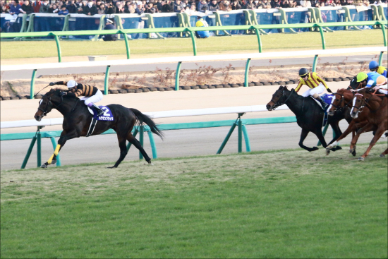 JRAフェブラリーS「楽逃げ」インティは第二のキタサンブラック!? 武豊「激流必至の差し馬天国」発言も史上2番目スローに再燃するあの疑惑......の画像3