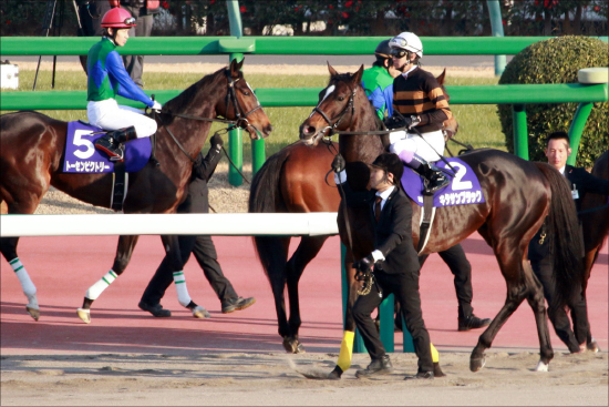 JRA勢の南関東クラシック「侵略」に待ったなし......中央の「大器」プロミストリープによる異次元の桜花賞制覇に地方競馬関係者から悲鳴の画像2
