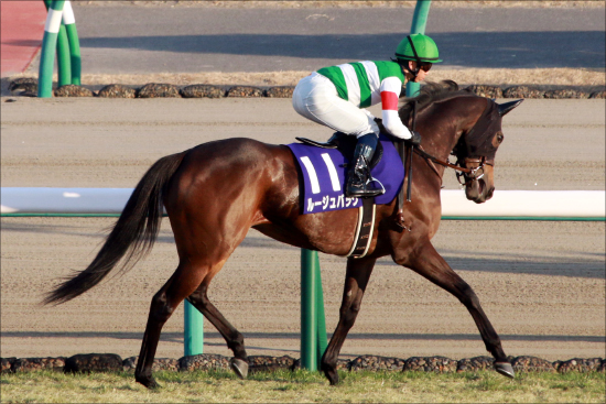 JRA菊花賞有力ブラストワンピースV宣言も、厩舎名物「迷走」の気配？ 「左回りにこだわり」新潟記念始動も「本番」は......の画像2