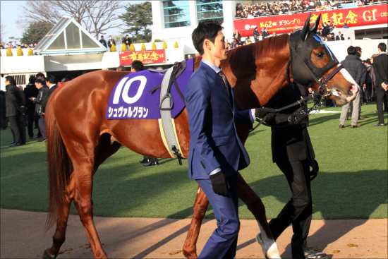 【ジャパンC（G1）展望】「JRA3歳4冠へ」アーモンドアイ伝説に!? 武豊マカヒキ、スワーヴリチャードらが逆襲かの画像5