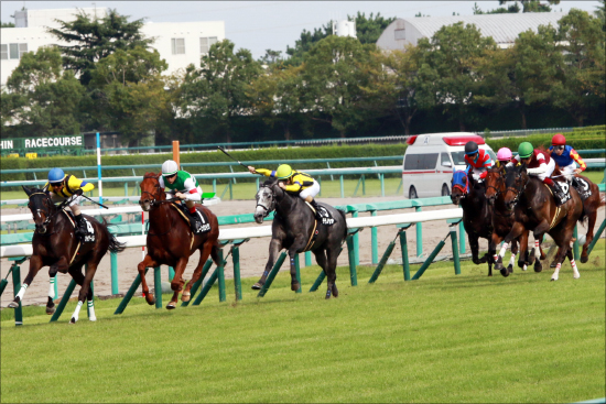 【京都2歳S（G3）展望】JRA2歳戦で唯一の2000mG3！タフなレースを勝ち上がるのはどの馬だ？の画像1
