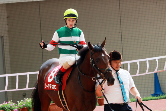 【京都記念（G2）展望】日本ダービー馬レイデオロVS皐月賞馬アルアイン......最強4歳世代の「4強」が2018年の競馬界を占う！の画像1