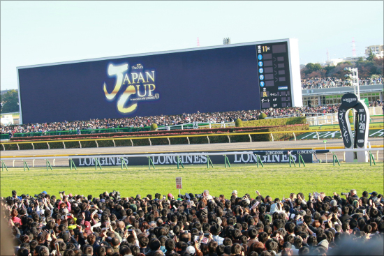 JRA絶望......？ ジャパンC（G1）「外国馬1頭」可能性の衝撃。「ガラパゴス」日本競馬で役割終了かの画像2