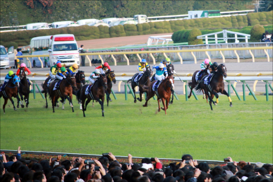 JRAジャパンC（G1）R.ムーア「勝算」あり!? 過去10年以上用なしの外国馬が「好配当の使者」になれる理由の画像2