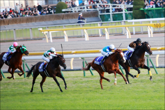 JRA絶望......？ ジャパンC（G1）「外国馬1頭」可能性の衝撃。「ガラパゴス」日本競馬で役割終了かの画像1