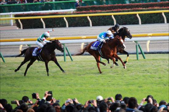 天皇賞・春（G1）「疑惑」シュヴァルグランに異変!? 世界のH.ボウマン招聘で「不動の大本命」のハズが、現場に渦巻く「燃え尽き」の声の画像2