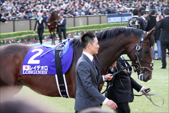 JRAオールカマー「レイデオロ軸」から穴で高配当!? 関係者情報で見出す「6点」勝負！の画像1