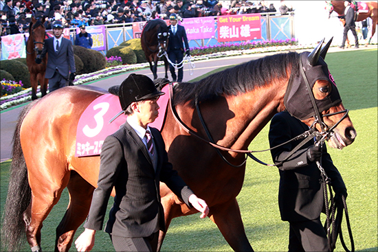 JRAジャパンC（G1）外国馬が「超順調」？ サトノクラウンら美浦情報と合わせて紹介の画像2