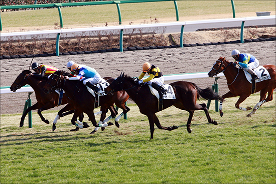 【京成杯（G3）展望】クラシックへ向けた熱き戦い！ 伝統の3歳重賞を制するのはの画像2