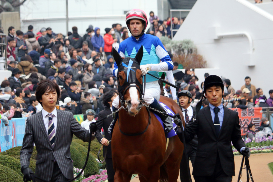 JRA「現役続行の意味」シュヴァルグランは友道師が佐々木主浩氏に「もう1年」！ 父＆妹大活躍の舞台で期待大の画像2