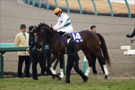 JRA宝塚記念（G1）アルアインG1・3勝目に視界良好？ レイデオロらも順調で......【1週前追い切り詳報】の画像2
