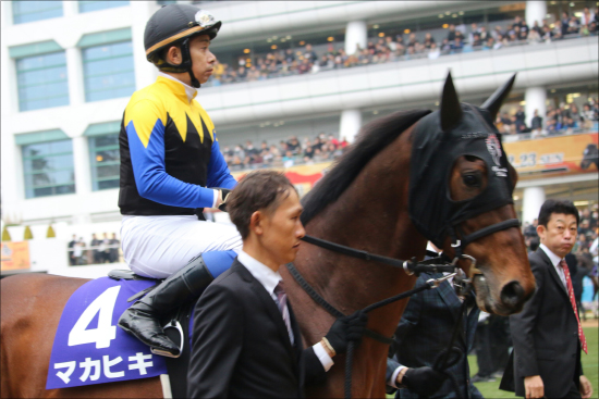 JRA京都記念（G2）マカヒキ「復調」情報!? 心強い同オーナー馬の復活の画像1