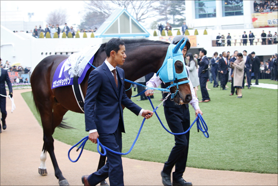 JRA「大感謝」でも武豊オジュウ「解消」必至か......馬主「失言」だけじゃない来年騎乗が難しい「理由」の画像1