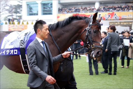 【ドバイ2019展望】最強女王アーモンドアイ「世界へ」ついに始動！ 武豊マテラスカイ、レイデオロら日本勢VS世界の強豪に注目!!の画像3