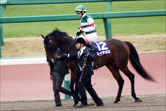 JRA「14年間勝利なし」レイデオロはドバイでダービー馬の呪いを今度こそ打ち破れるかの画像2