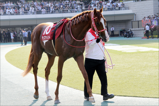 JRA天皇賞・春（G1）展開を左右する先行馬たちの状態は？　栗東関係者が語る「（秘）秘情報」  JRA美浦関係者「無の画像3