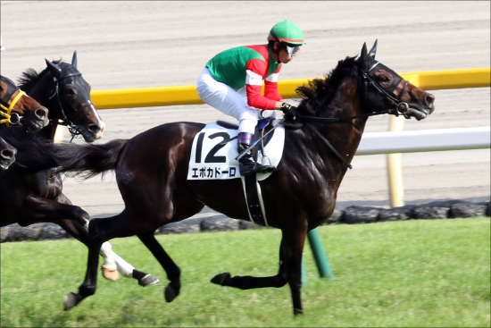 【神戸新聞杯（G2）展望】日本ダービー馬ワグネリアンVS皐月賞馬エポカドーロ!! 数々の名馬が制覇した「王道トライアル」幕開け！の画像3