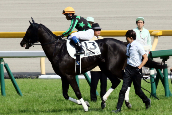 JRA中日新聞杯「高配当の使者」!? 関係者情報が見出した最強買い目!?の画像3