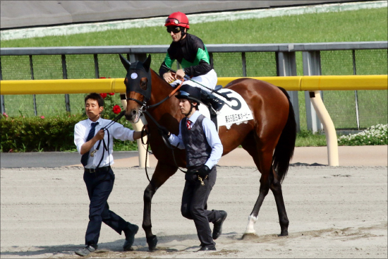 JRA「日本ダービー故障馬」続出の怪......キンカメ「死のダービー」で想起する「高速馬場の代償」説の画像2