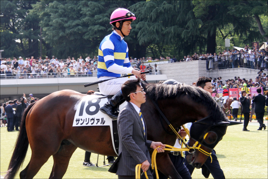 Jra 日本ダービー故障馬 続出の怪 キンカメ 死のダービー で想起する 高速馬場の代償 説 Gj