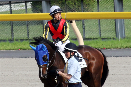 【神戸新聞杯（G2）展望】日本ダービー馬ワグネリアンVS皐月賞馬エポカドーロ!! 数々の名馬が制覇した「王道トライアル」幕開け！の画像7