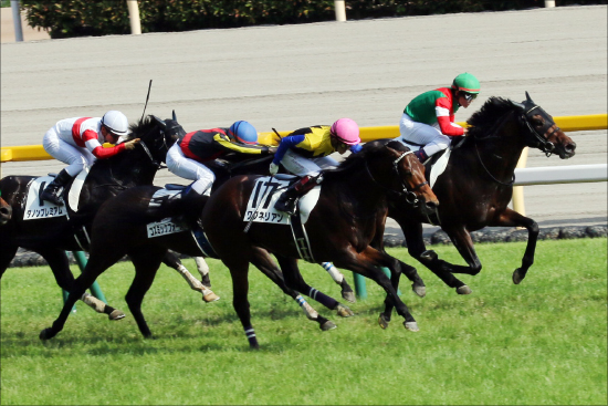 JRA神戸新聞杯（G2）は「エポカドーロ」切り「三連単2点」！ 門外不出の「激走馬」情報を最優先!!の画像1