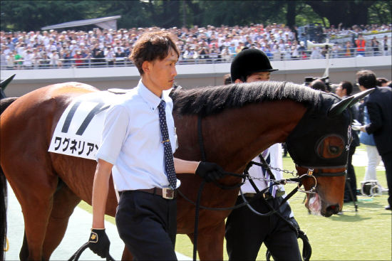 JRA大阪杯（G1）「史上最高」メンバーで現役最強決定戦!? 復活ダノンプレミアムVS最優秀３歳ブラストワンピースVSダービー馬ワグネリアン！の画像4