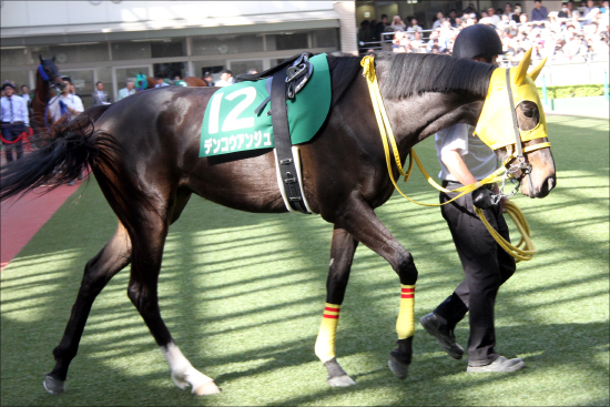 JRA福島牝馬S（G3）は「大荒れ馬券」で天皇賞・春の軍資金？ 強気「関係者情報」で狙い撃ちの画像3