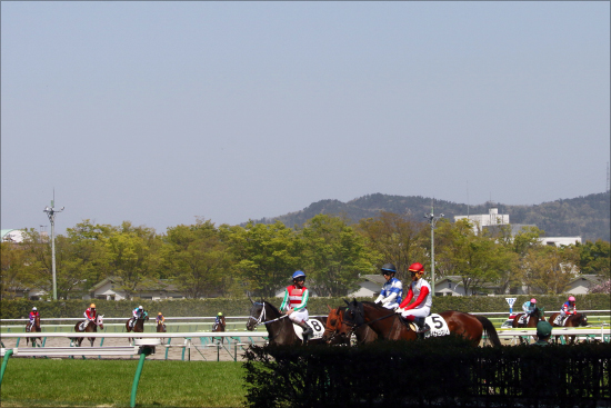 JRA栗東「液体事件」は厩舎内トラブルか......「日頃から諍い」「被害馬2頭」の情報の画像2