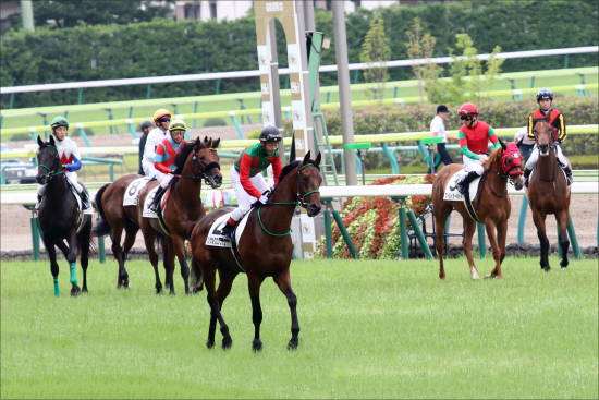 JRA短距離北九州記念（G3）は武豊から......!? 関係者情報「至極の4頭」で楽勝かの画像2