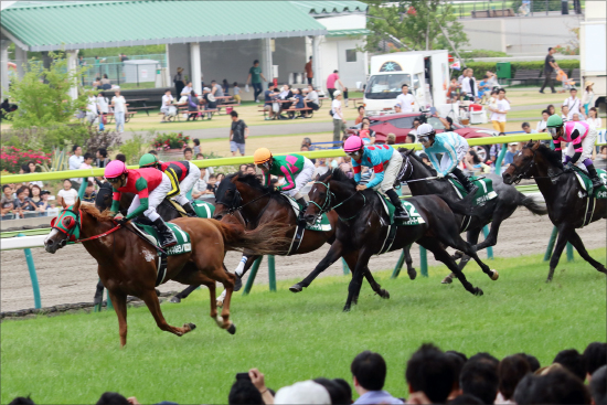 JRA新種牡馬「ジャスタウェイ産」成功確実!?　アウィルアウェイが圧倒的強さで2連勝の画像1