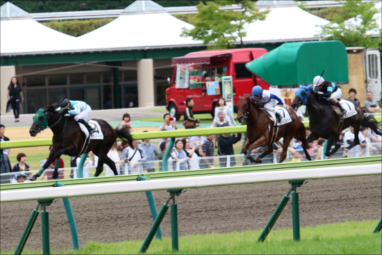 【JBC（G1）展望】JRA初開催!! 京都の砂で傑物オメガパフュームが、武豊マテラスカイが、ラビットランが躍動かの画像3