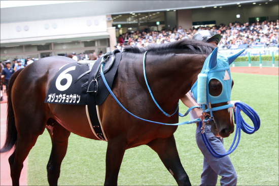 武豊オジュウチョウサン「100％」5馬身ぶっちぎり！ 有馬記念（G1）1週前追い切りは「あの馬」に一抹の不安......の画像2