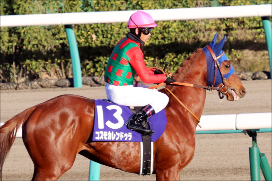 【若葉S展望】川田将雅ヴェロックスVS武豊ワールドプレミア！皐月賞へ向け期待の素質馬集結！の画像2