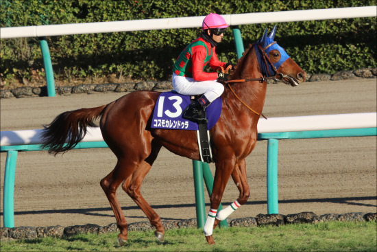 JRAスプリングS（G2）は「3頭で穴馬券」狙い！ 強力「現場ネタ」が導く「オイシイ伏兵」!!の画像3