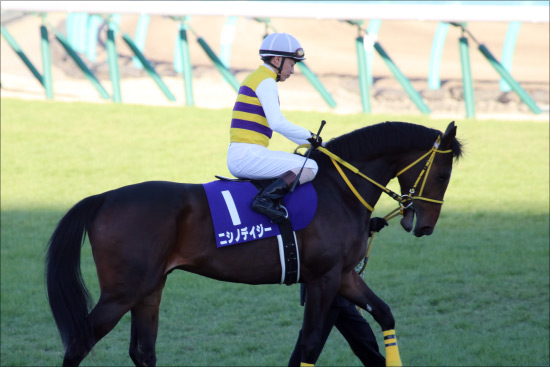 JRA皐月賞（G1）サートゥルナーリアは〇番手！ 有力「現場ネタ」から「穴馬券」を狙い撃ち!!の画像5