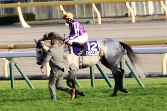 JRA理事長「そこじゃない」見解に落胆の声......意義消失ジャパンC改善案に世界最悪の「高速馬場」黙殺の画像2