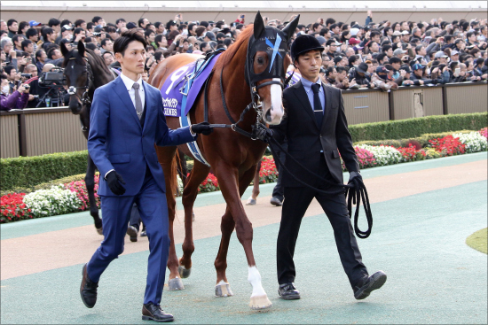 JRA有馬記念（G1）キセキが奇跡の回復!? 栗東から届けられた有力馬情報大放出！の画像2
