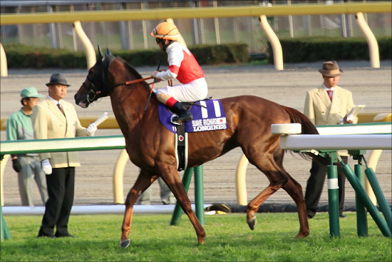 JRA「有馬記念（仮想）」アーモンドアイ、ワグネリアンが出ていれば？ 豪華すぎる仮想最強メンバー展望の画像4